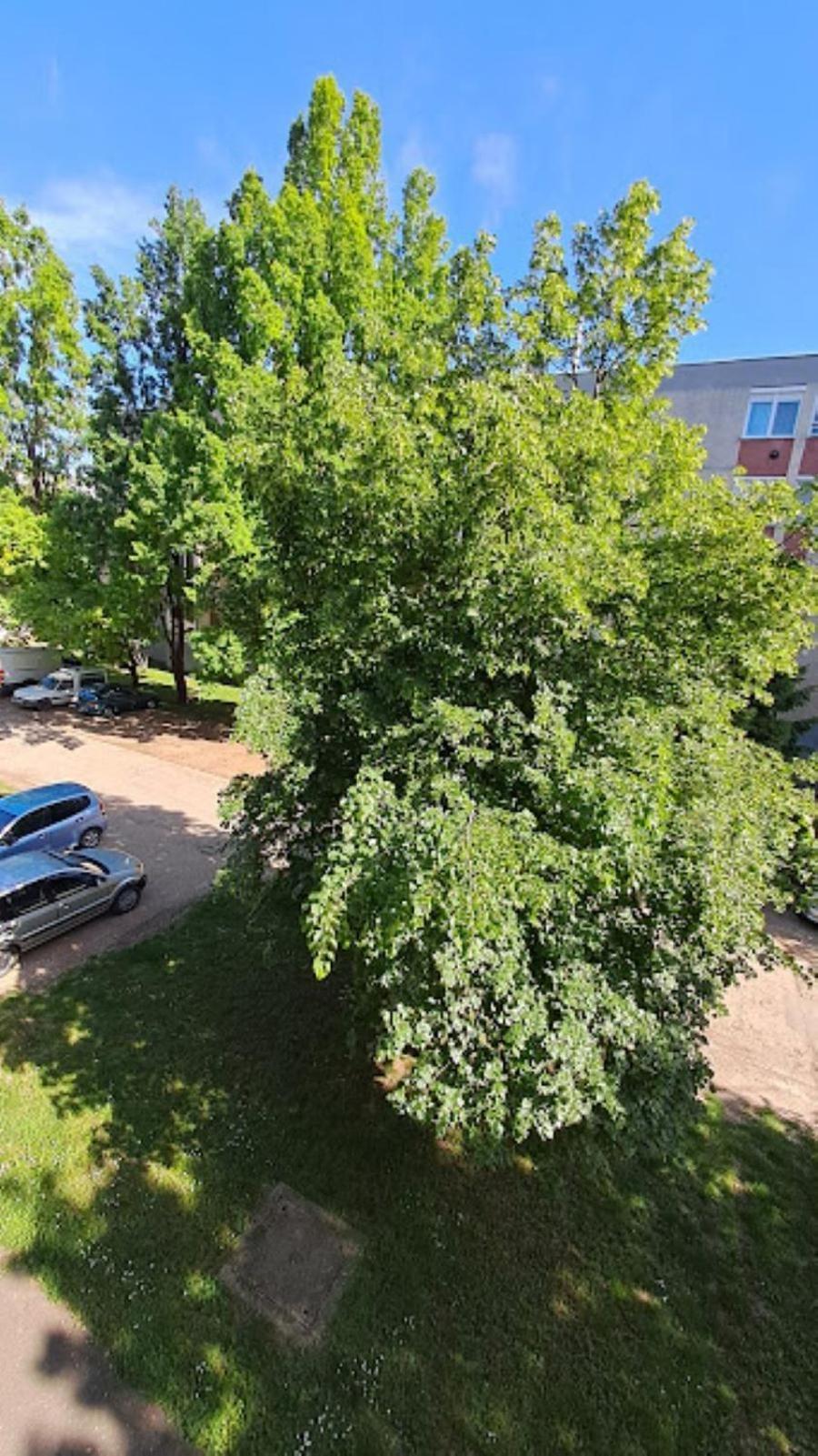 Szilfak City Apartman Hajdúszoboszló Buitenkant foto